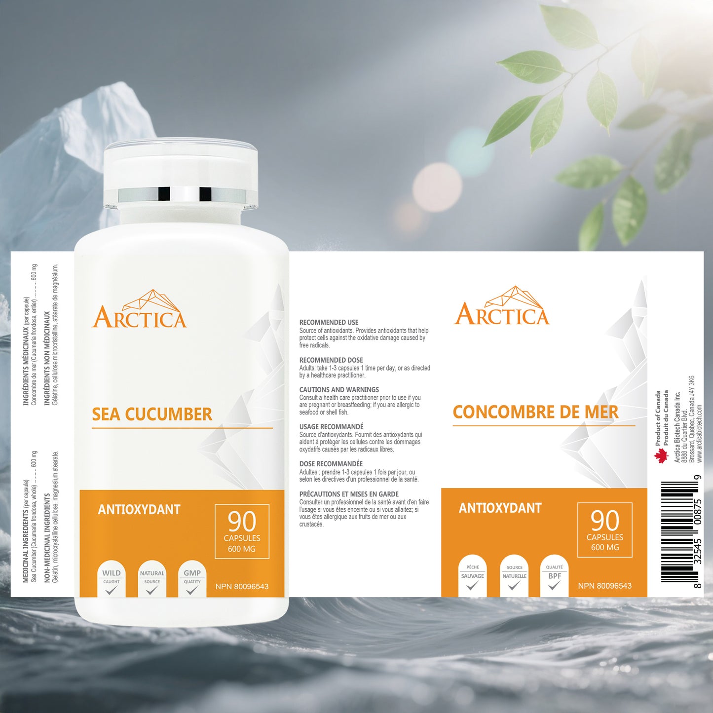 Capsules de concombre de mer, antioxydants, 600 mg × 90 capsules