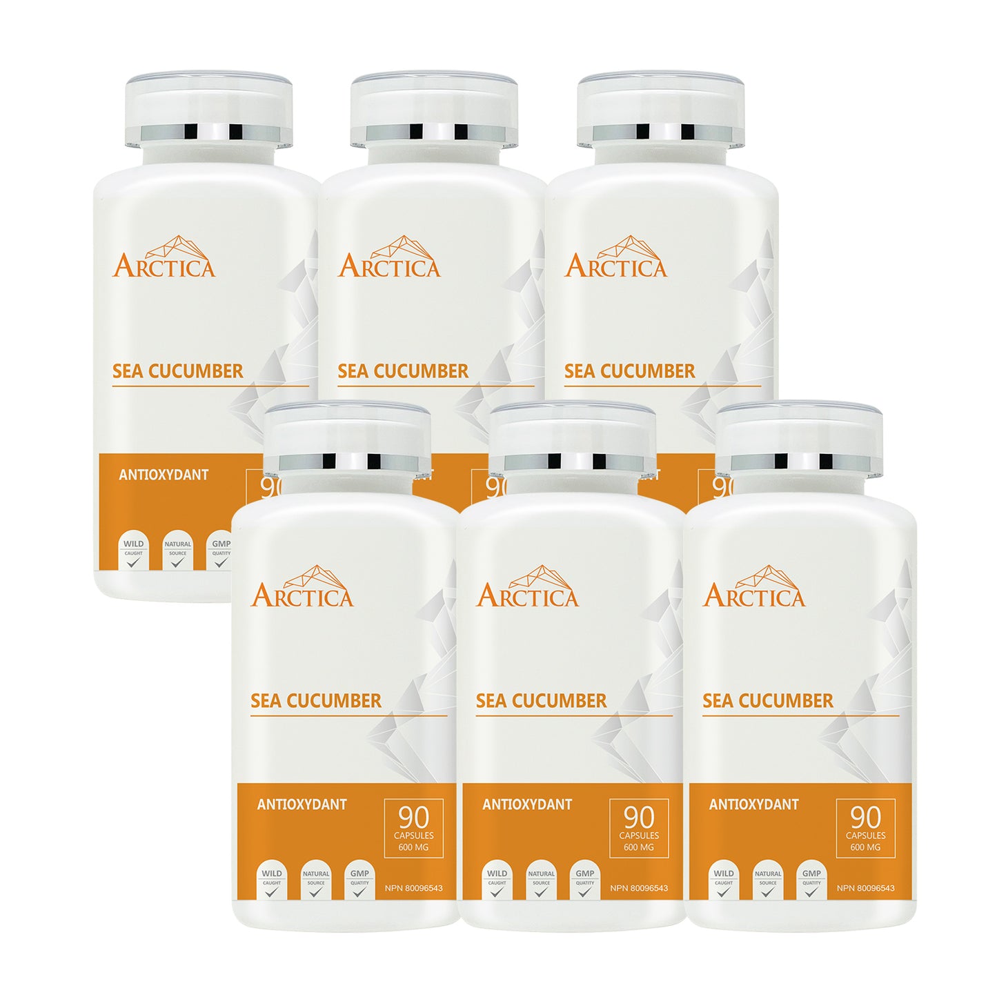 Sea Cucumber Capsule, Antioxidants, 600 mg × 90 caps