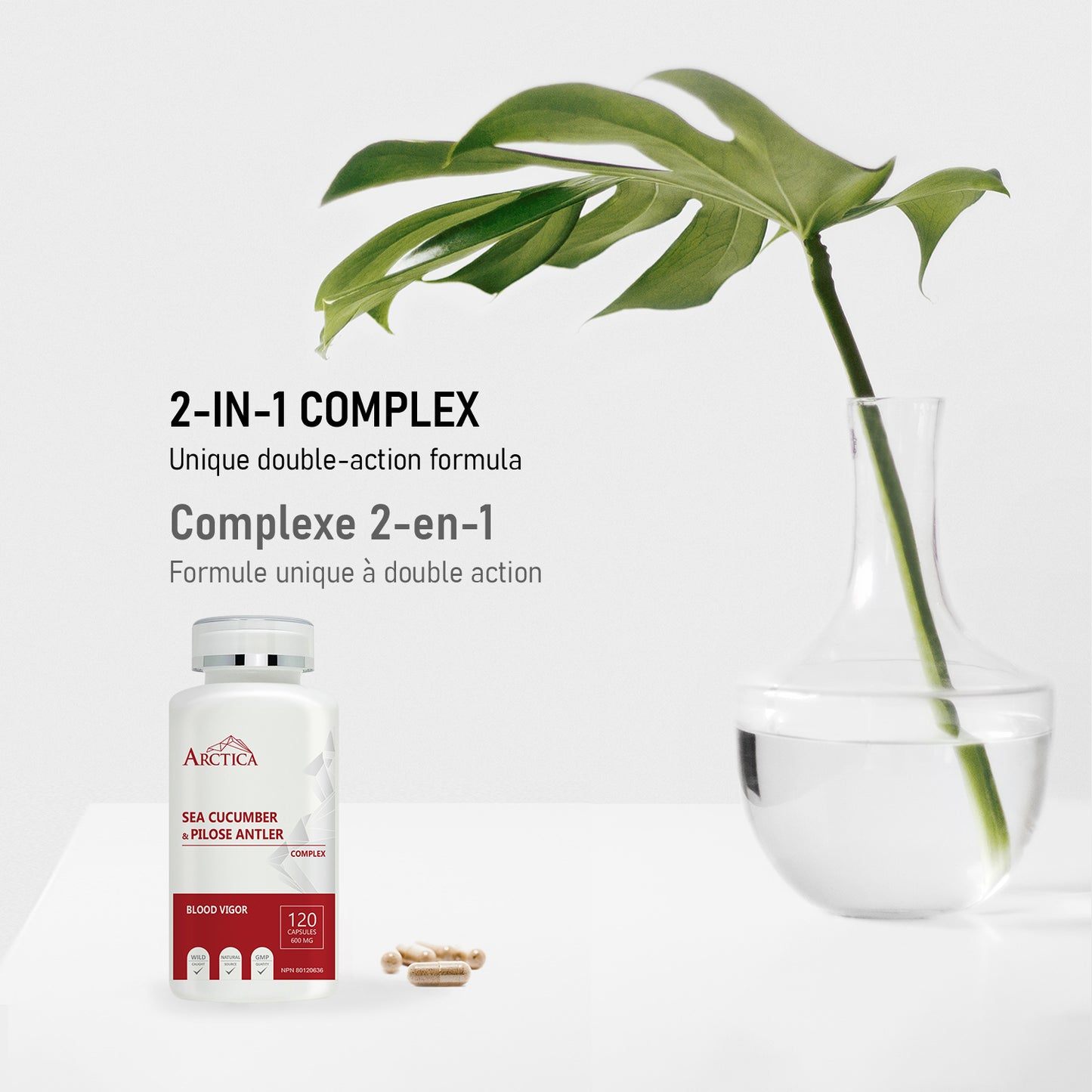 Sea Cucumber & Pilose Antler Complex Capsule, Blood Vigor, 600 mg × 120 caps