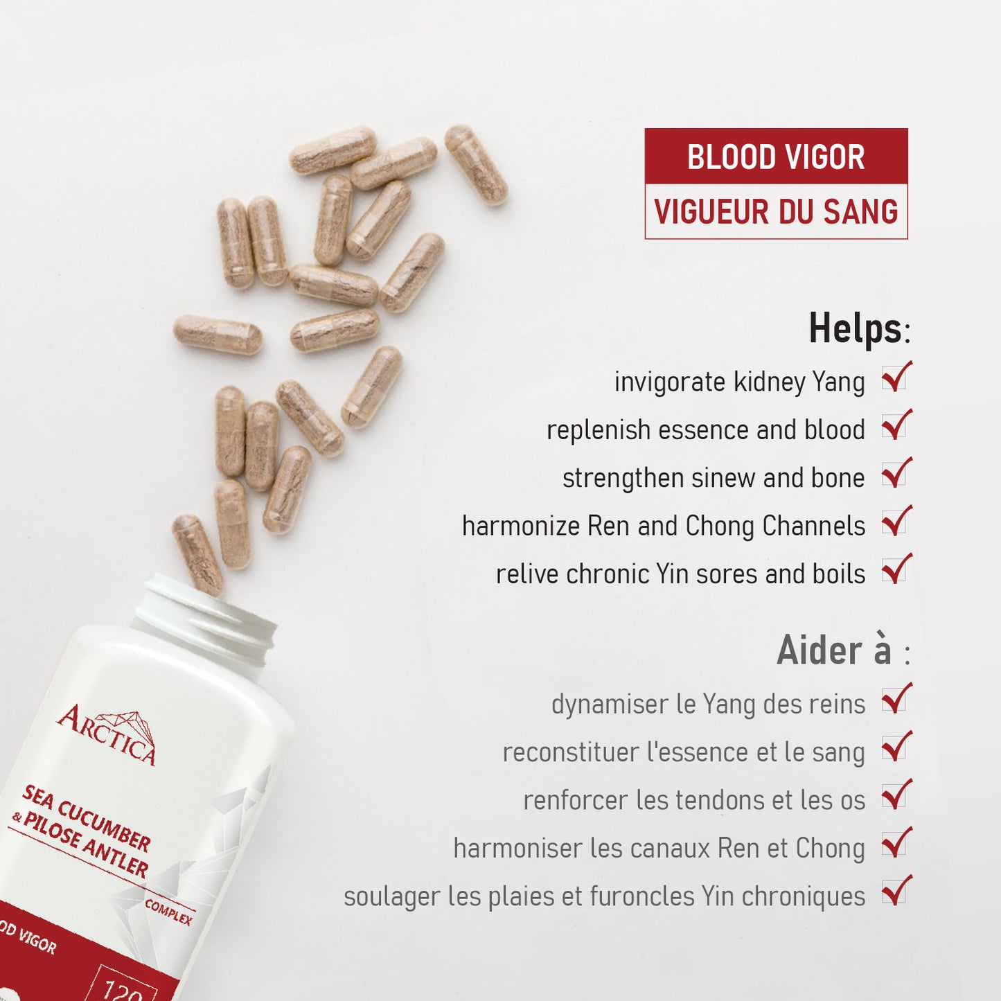 Sea Cucumber & Pilose Antler Complex Capsule, Blood Vigor, 600 mg × 120 caps