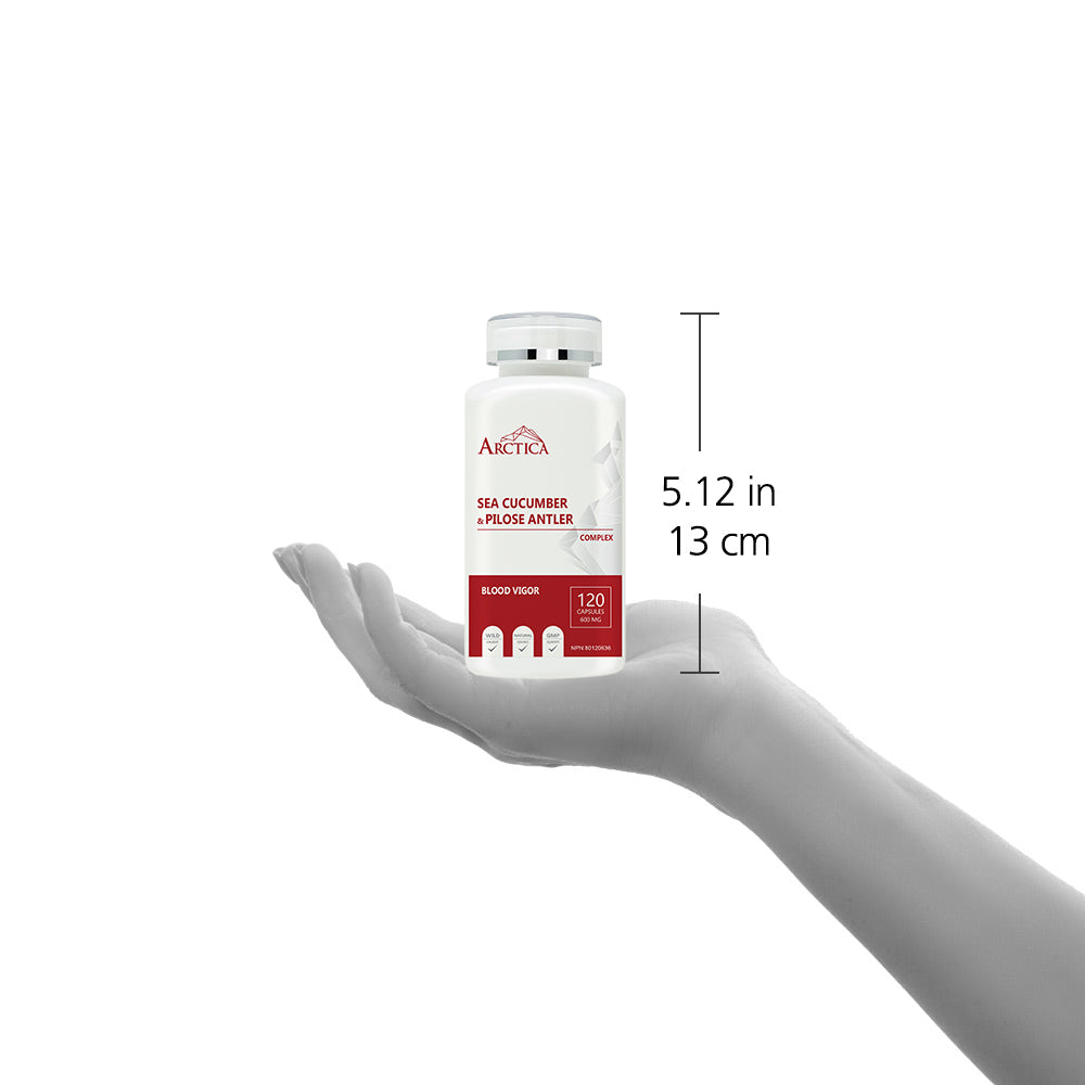 Sea Cucumber & Pilose Antler Complex Capsule, Blood Vigor, 600 mg × 120 caps