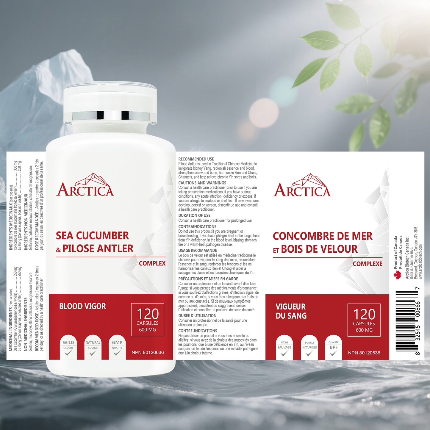 Sea Cucumber & Pilose Antler Complex Capsule, Blood Vigor, 600 mg × 120 caps