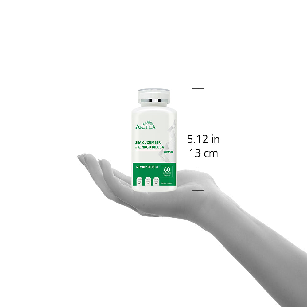 Sea Cucumber & Gingko Biloba Complex Capsule, Memory Support, 600 mg × 60 caps