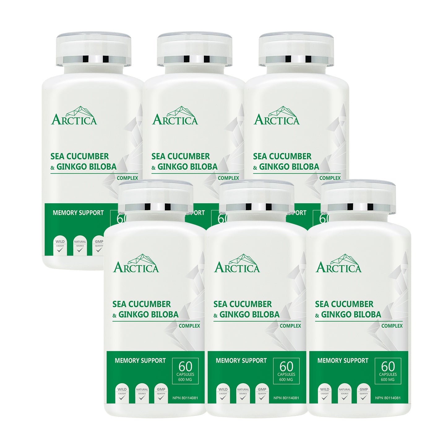 Sea Cucumber & Gingko Biloba Complex Capsule, Memory Support, 600 mg × 60 caps