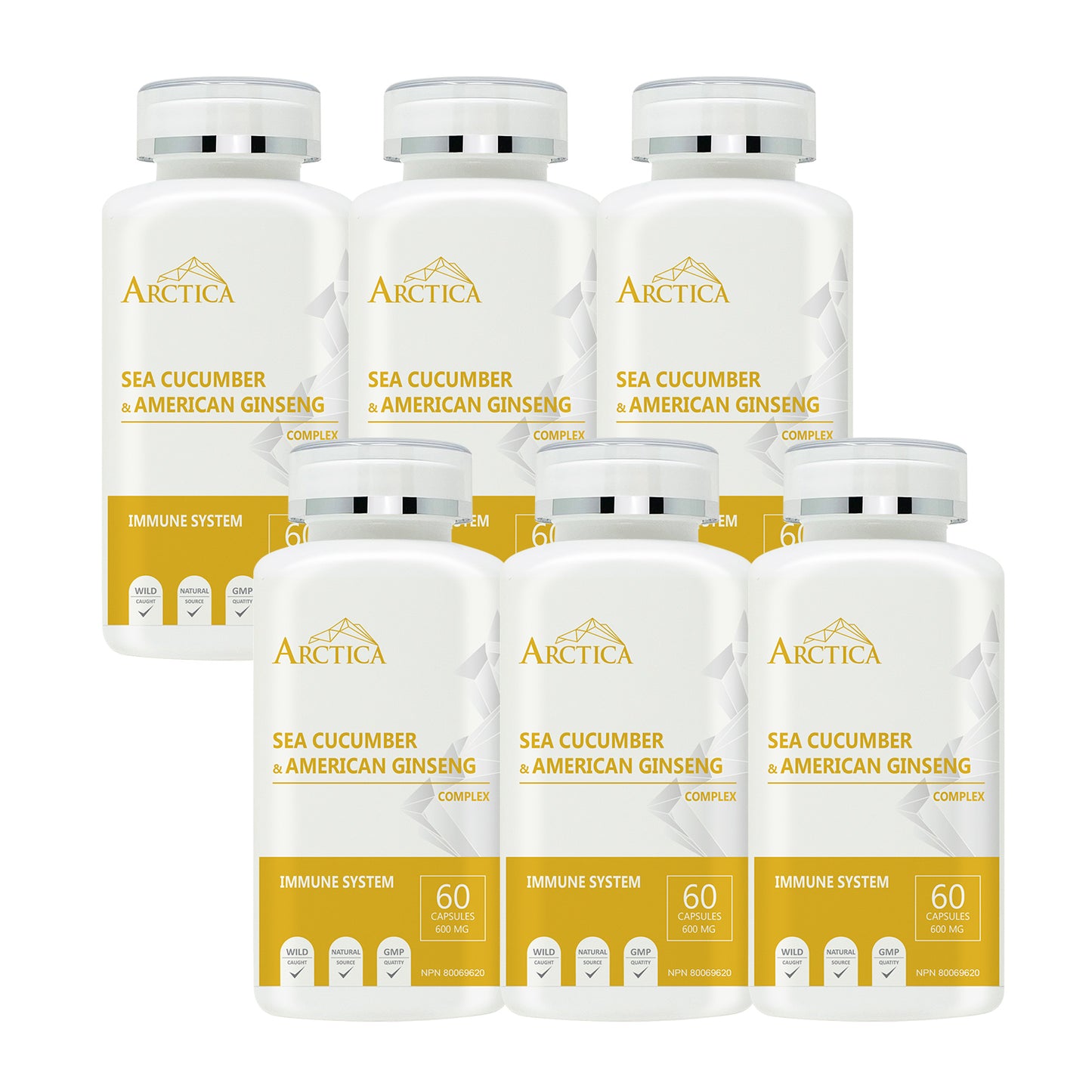 Sea cucumber & American Ginseng Complex Capsule, Immune System, 600 mg × 60 caps