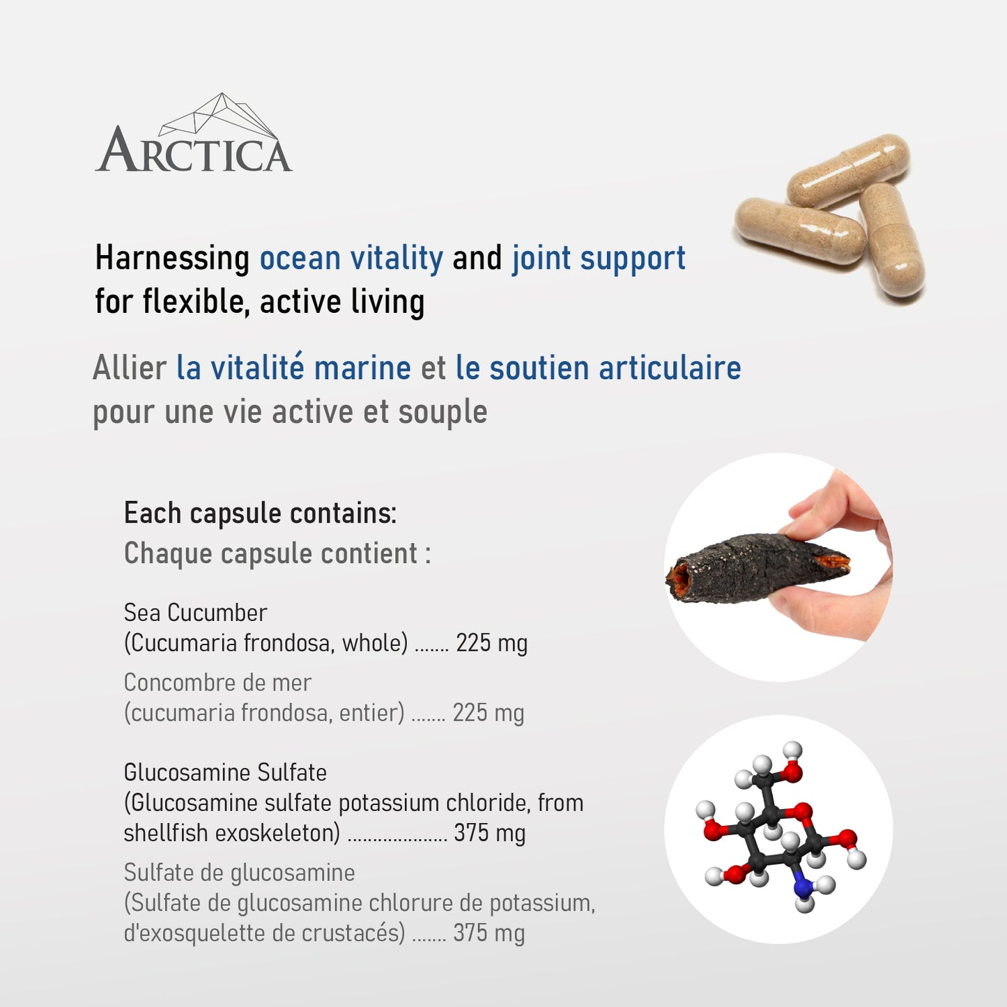 Sea cucumber & Glucosamine Complex Capsule, Joint Health, 600 mg × 120 caps