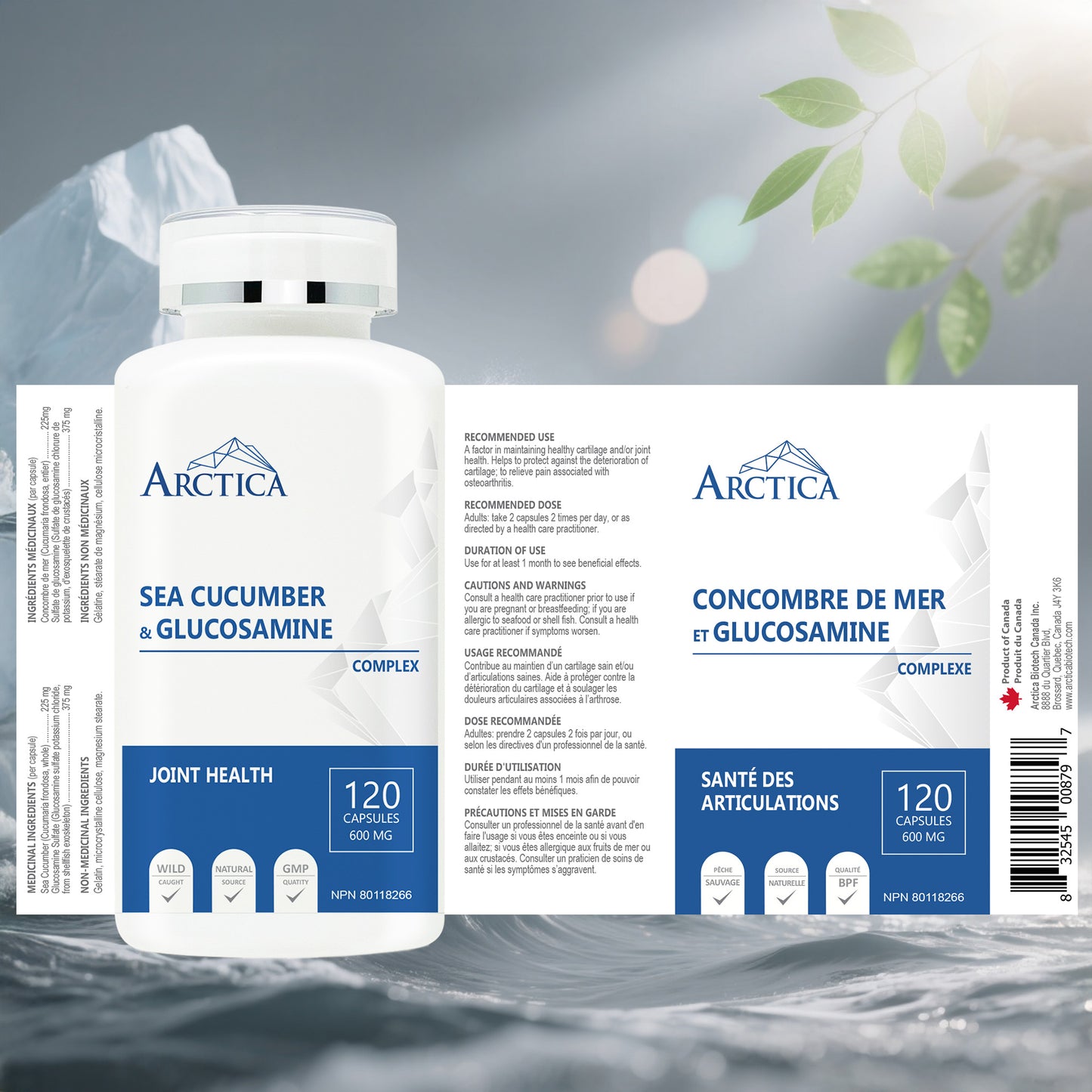 Sea cucumber & Glucosamine Complex Capsule, Joint Health, 600 mg × 120 caps