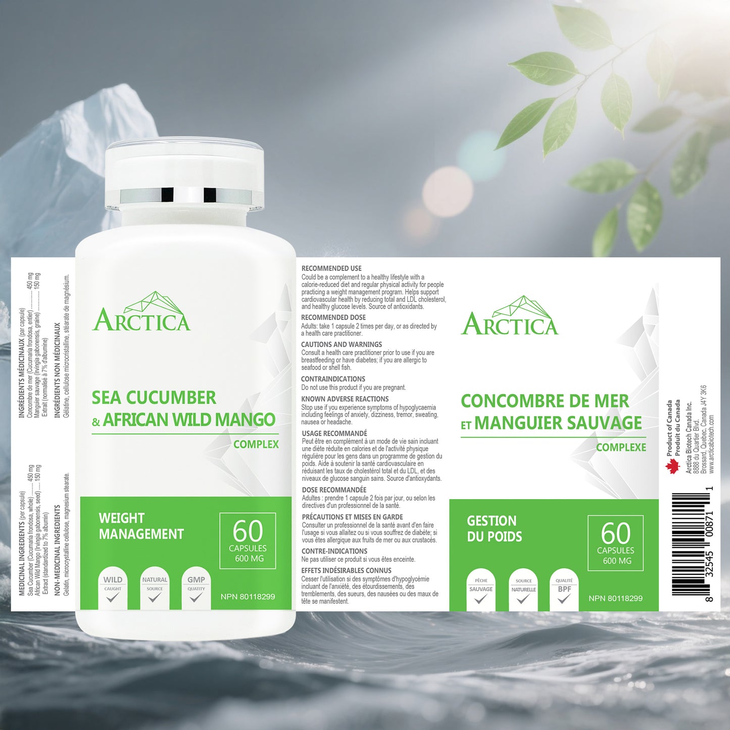 Sea Cucumber & African Wild Mango Complex Capsule, Weight Management, 600 mg × 60 caps