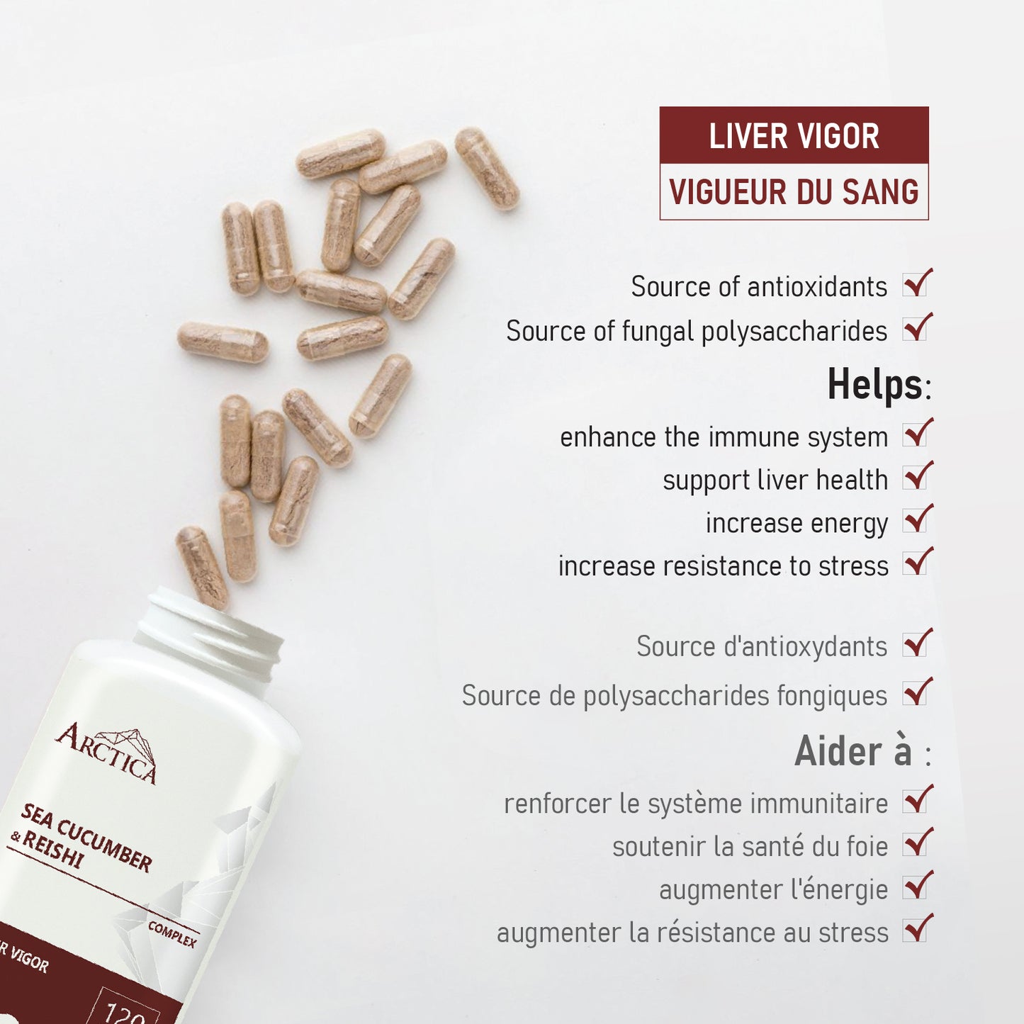 Sea Cucumber & Reishi Complex Capsule, Liver Vigor, 600 mg × 120 caps