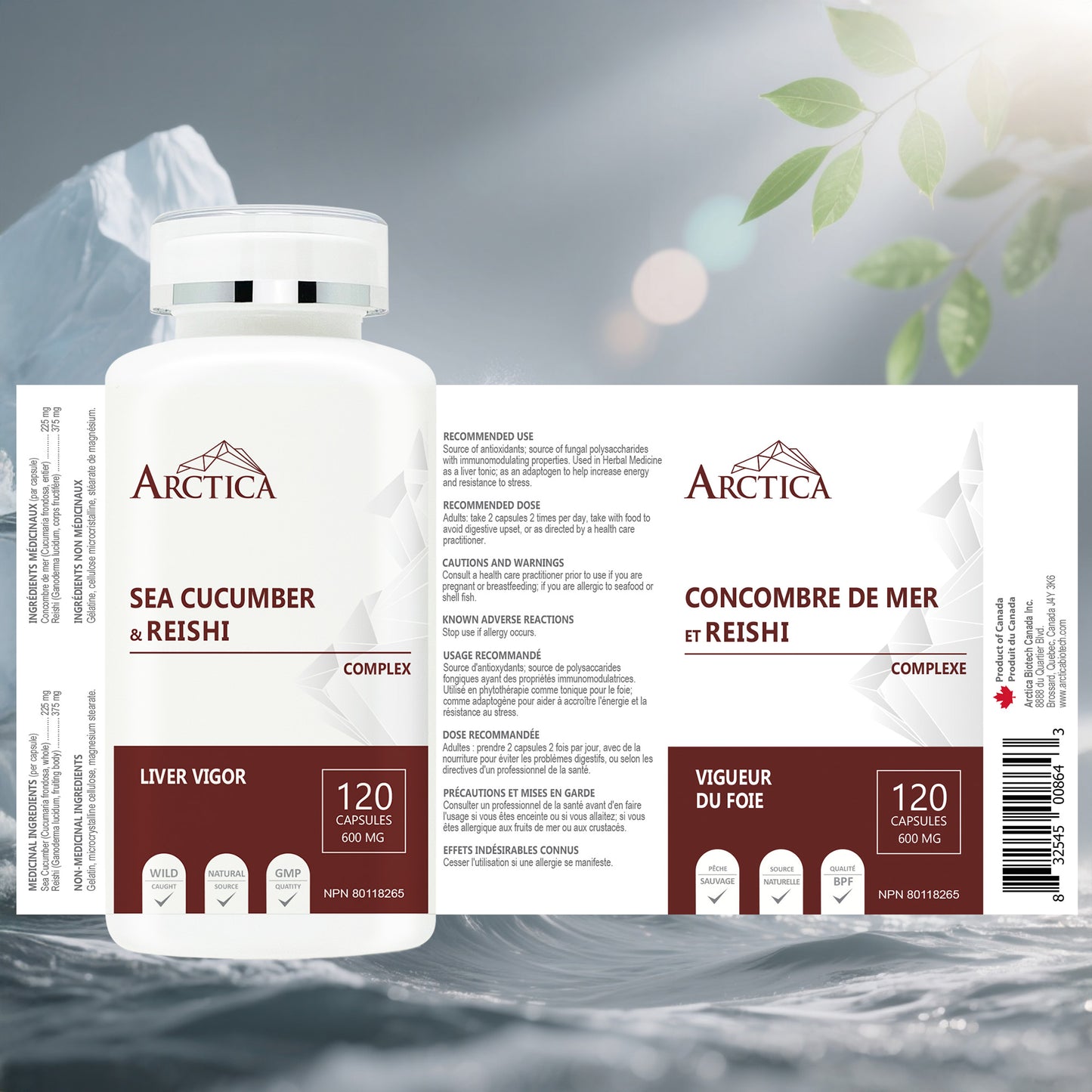 Sea Cucumber & Reishi Complex Capsule, Liver Vigor, 600 mg × 120 caps