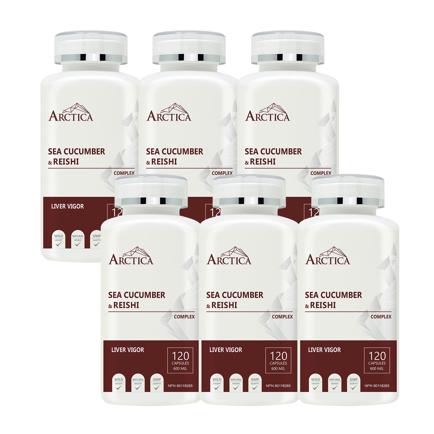 Sea Cucumber & Reishi Complex Capsule, Liver Vigor, 600 mg × 120 caps