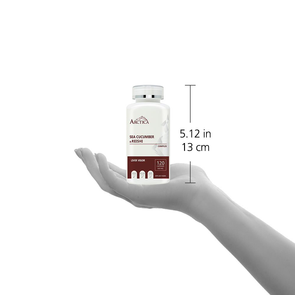 Sea Cucumber & Reishi Complex Capsule, Liver Vigor, 600 mg × 120 caps
