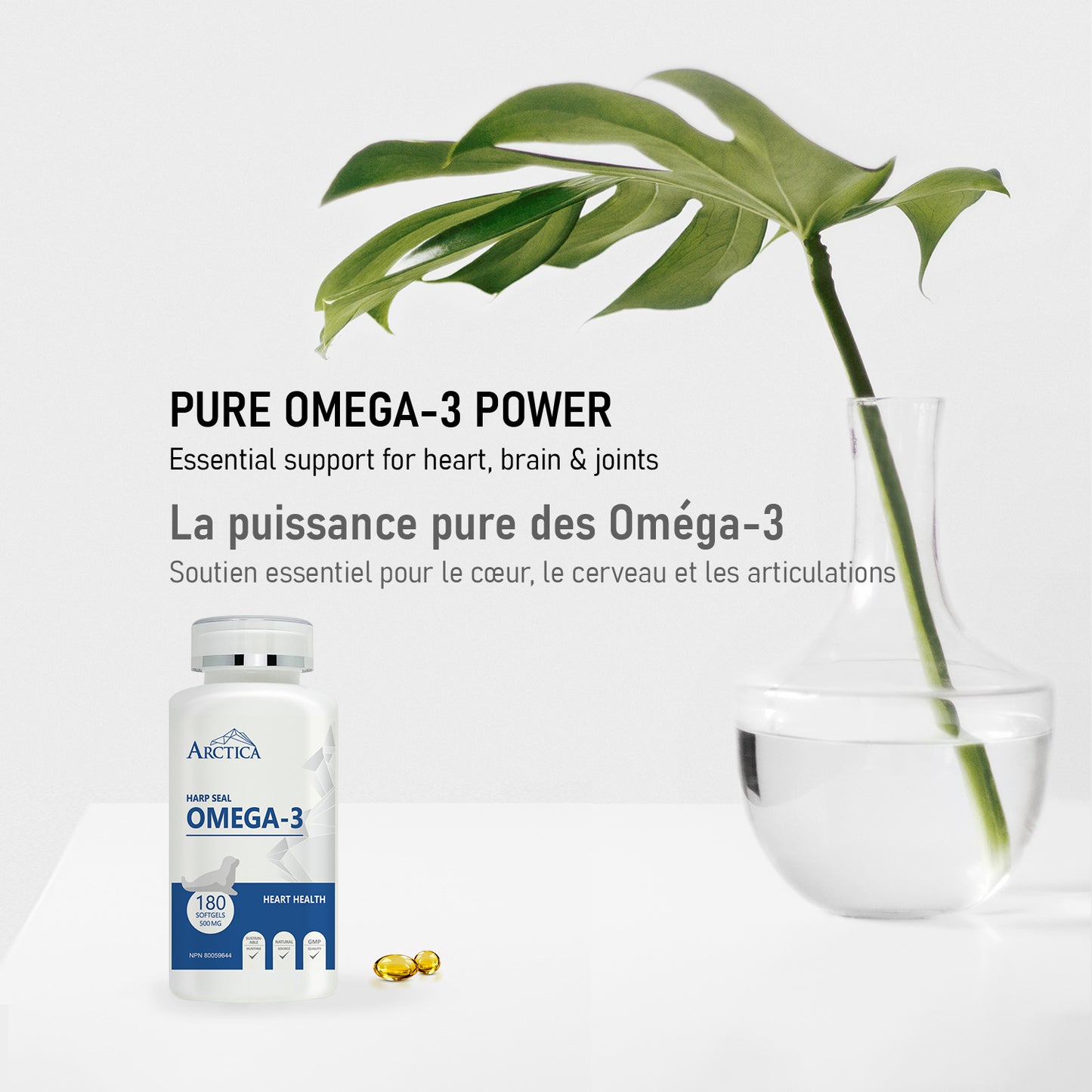 Harp Seal Oil Omega-3 Capsule, Heart Health, 500 mg × 180 softgels