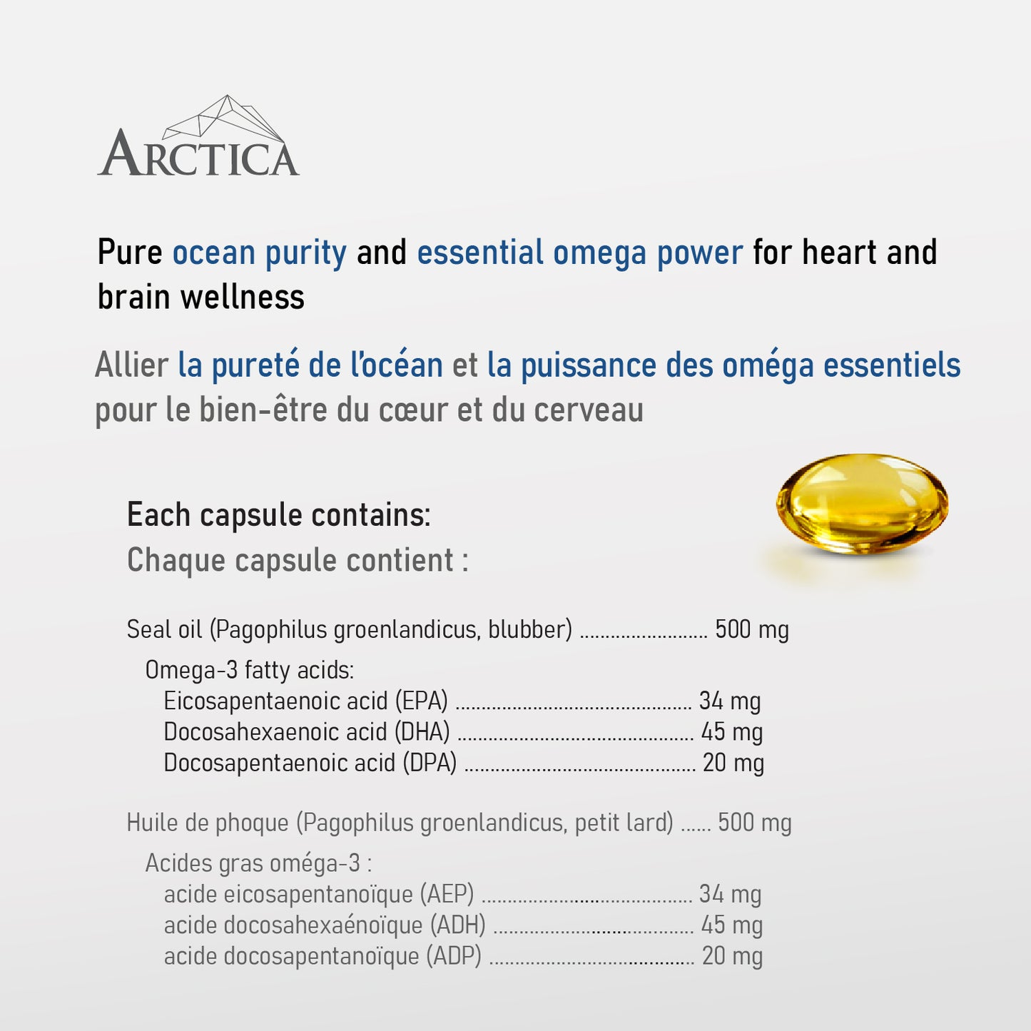 Harp Seal Oil Omega-3 Capsule, Heart Health, 500 mg × 180 softgels