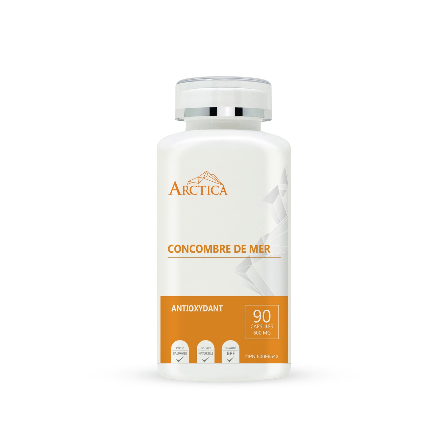 Sea Cucumber Capsule, Antioxidants, 600 mg × 90 caps
