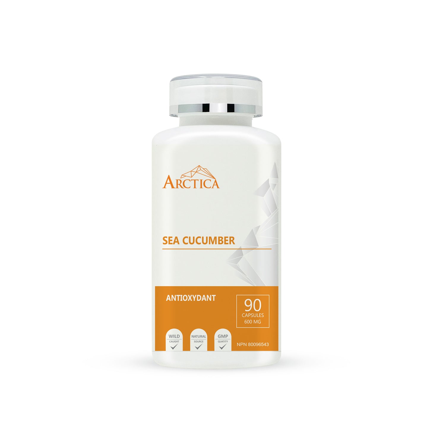 Sea Cucumber Capsule, Antioxidants, 600 mg × 90 caps