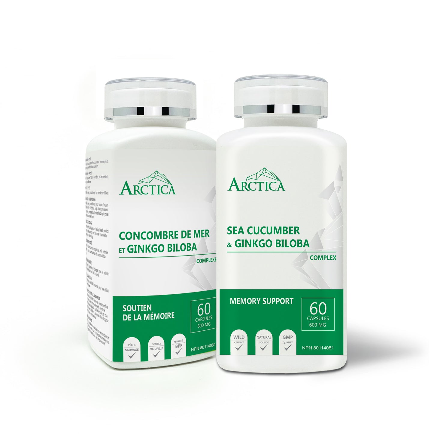 Sea Cucumber & Gingko Biloba Complex Capsule, Memory Support, 600 mg × 60 caps