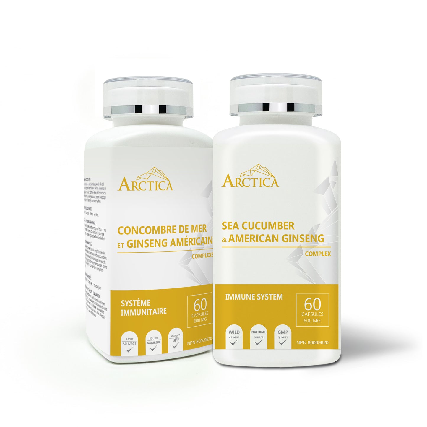 Sea cucumber & American Ginseng Complex Capsule, Immune System, 600 mg × 60 caps