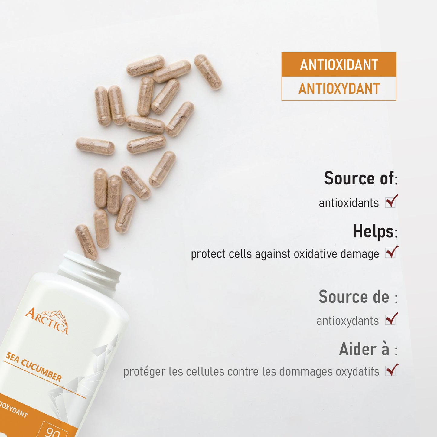 Sea Cucumber Capsule, Antioxidants, 600 mg × 90 caps