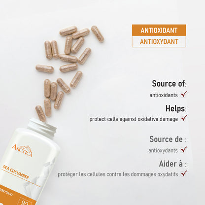Sea Cucumber Capsule, Antioxidants, 600 mg × 90 caps