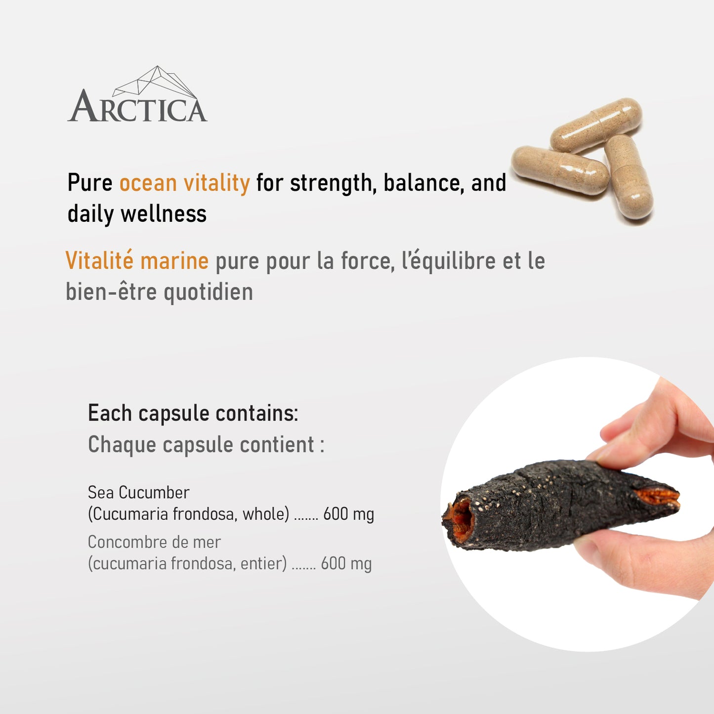 Sea Cucumber Capsule, Antioxidants, 600 mg × 90 caps