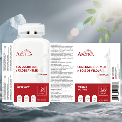 Sea Cucumber & Pilose Antler Complex Capsule, Blood Vigor, 600 mg × 120 caps