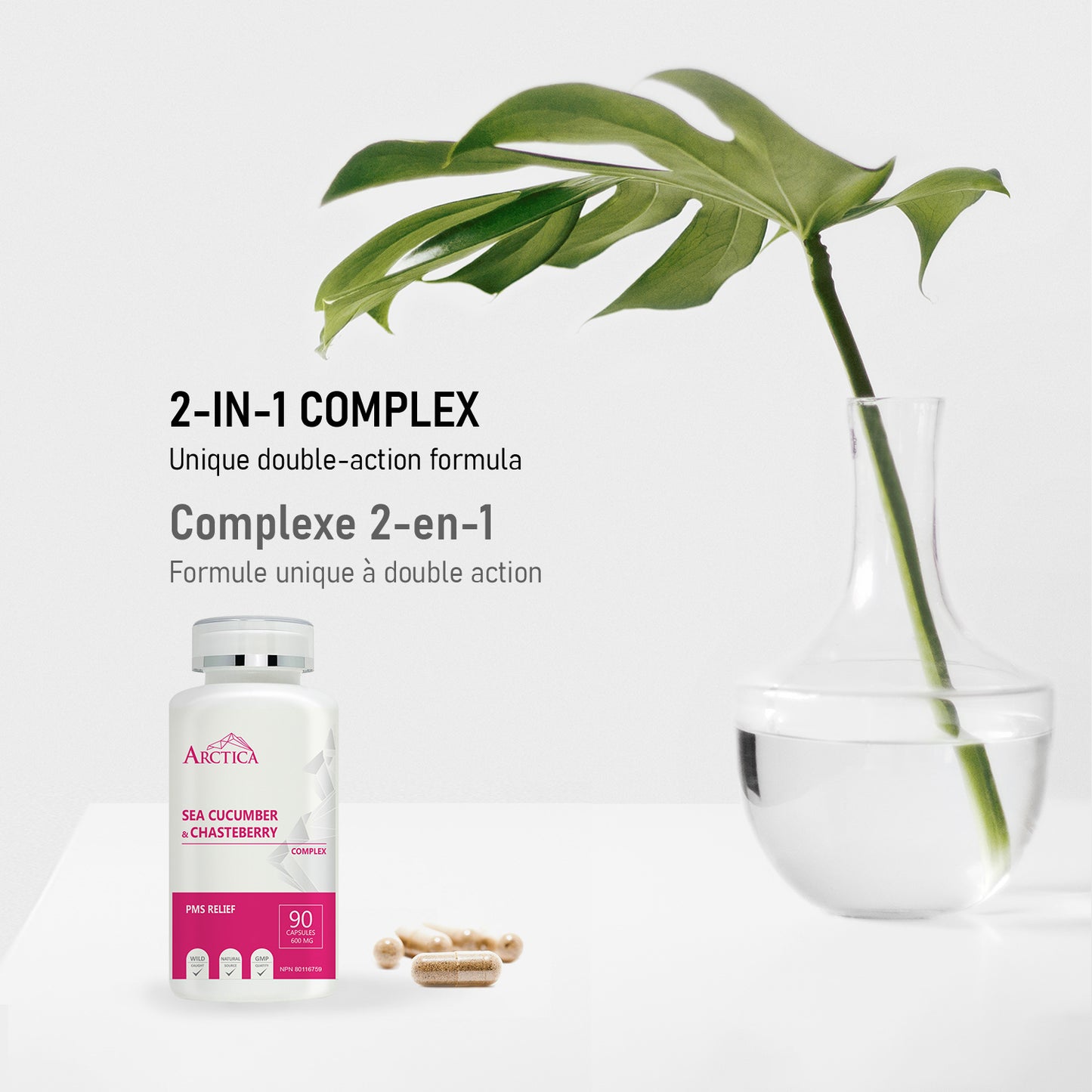 Sea Cucumber & Chasteberry Complex Capsule, PMS Relief, 600 mg × 90 caps