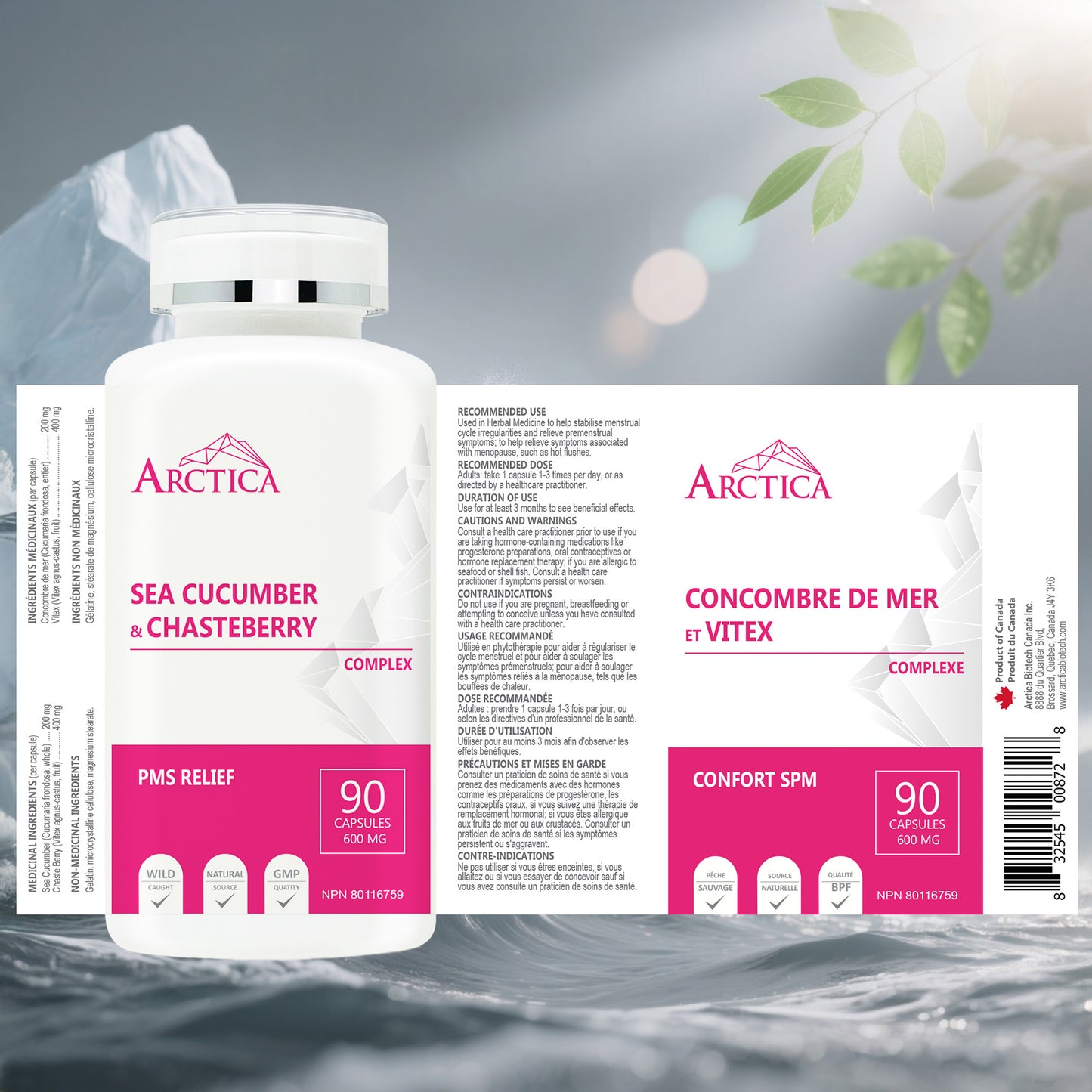 Sea Cucumber & Chasteberry Complex Capsule, PMS Relief, 600 mg × 90 caps