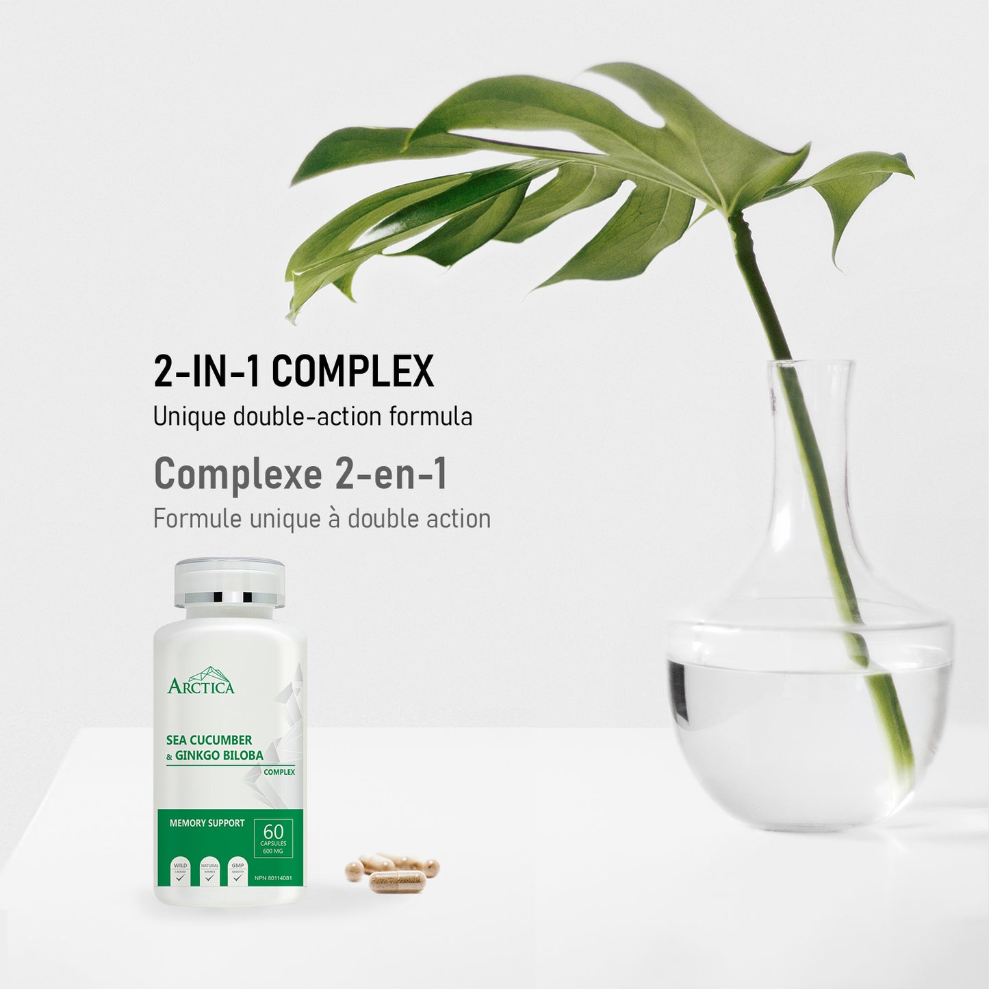 Sea Cucumber & Gingko Biloba Complex Capsule, Memory Support, 600 mg × 60 caps