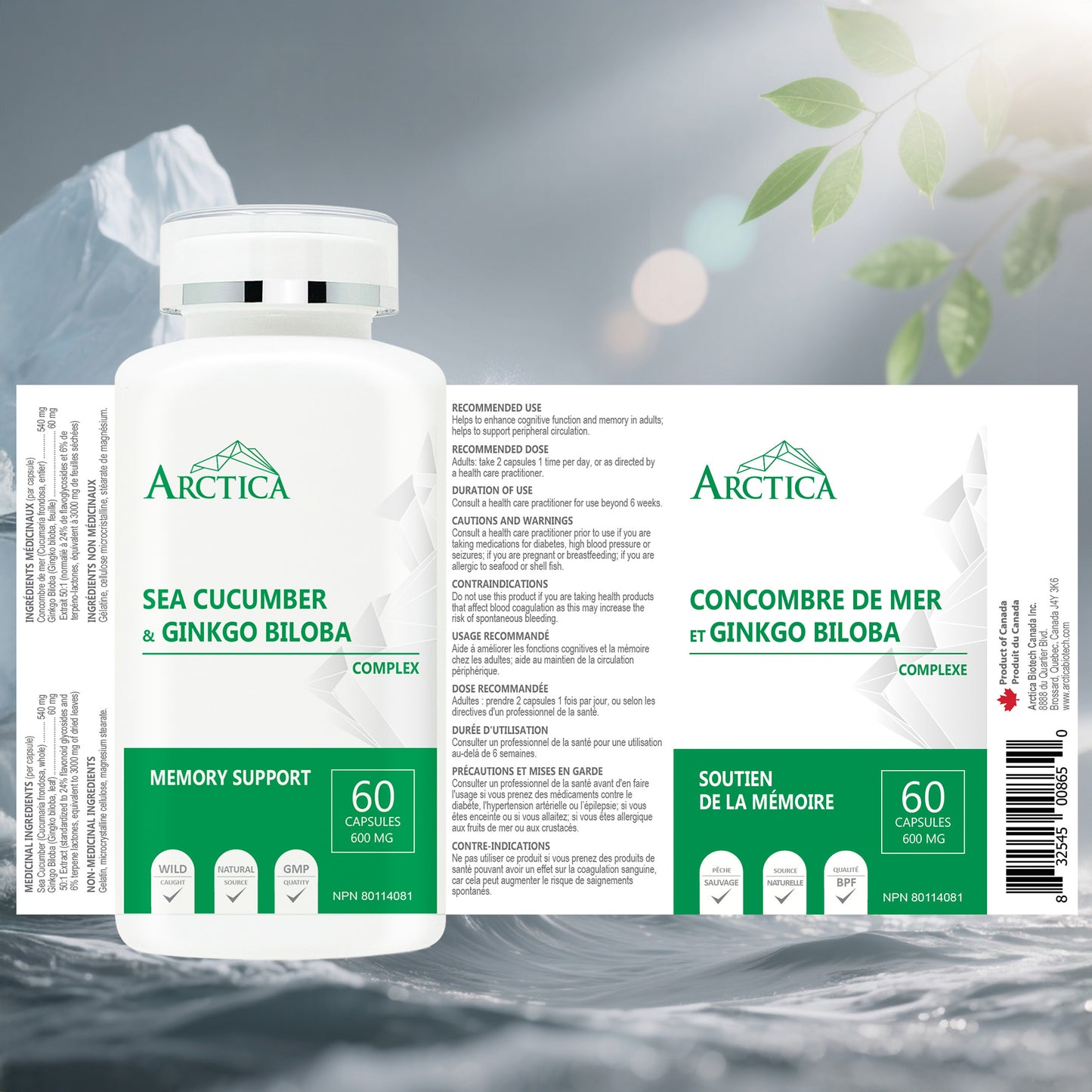 Sea Cucumber & Gingko Biloba Complex Capsule, Memory Support, 600 mg × 60 caps