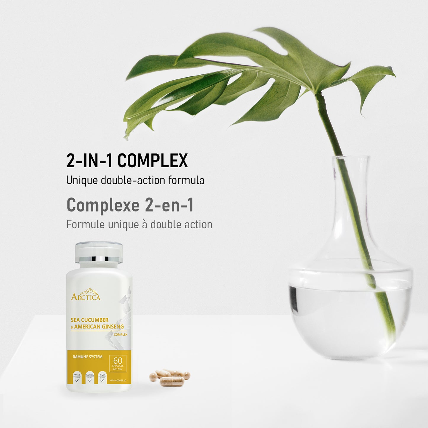 Sea cucumber & American Ginseng Complex Capsule, Immune System, 600 mg × 60 caps