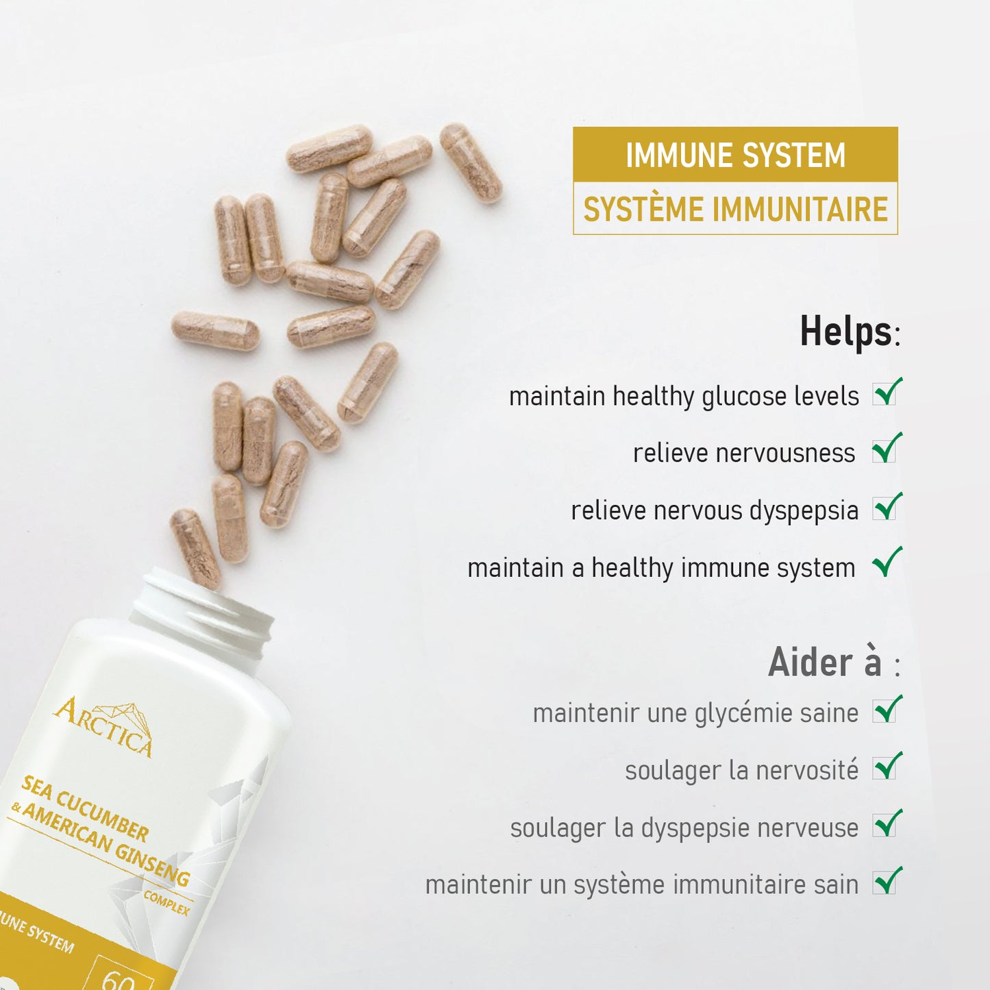 Sea cucumber & American Ginseng Complex Capsule, Immune System, 600 mg × 60 caps