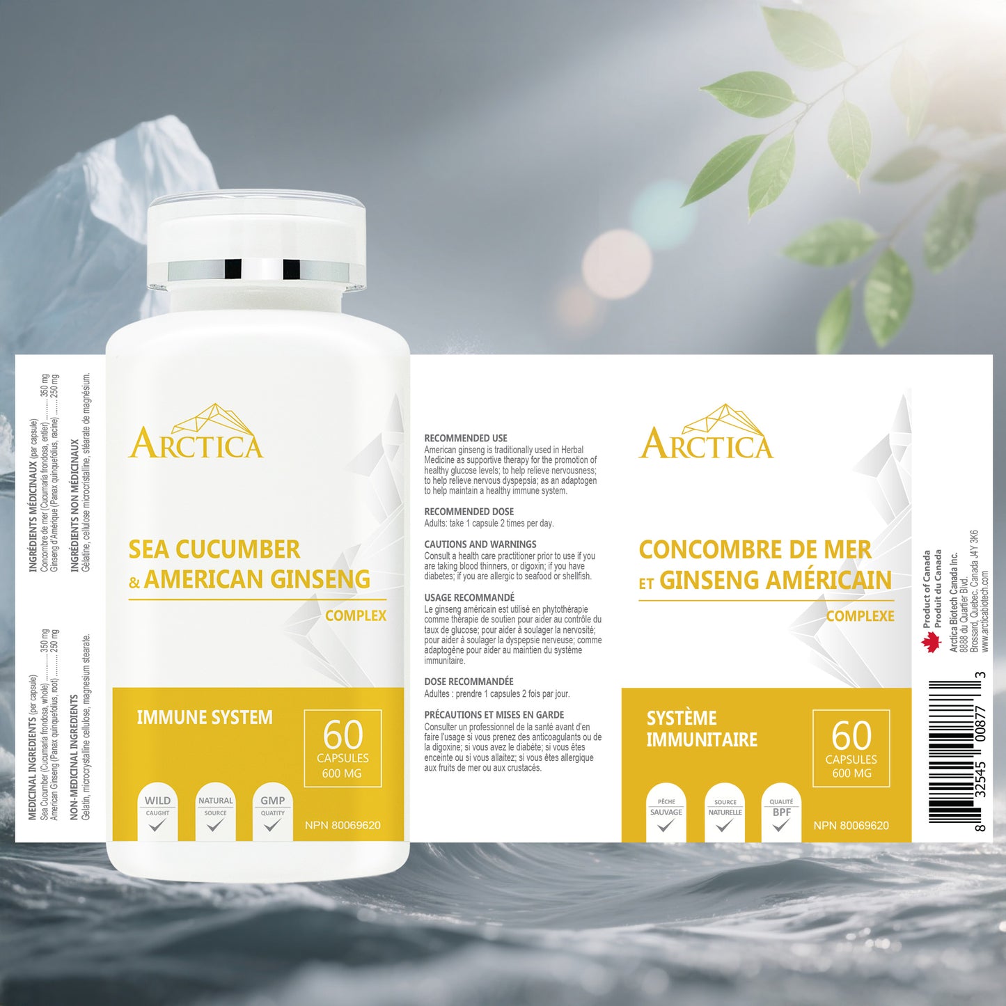 Sea cucumber & American Ginseng Complex Capsule, Immune System, 600 mg × 60 caps