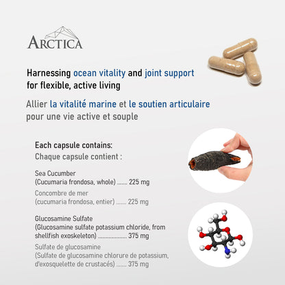 Sea cucumber & Glucosamine Complex Capsule, Joint Health, 600 mg × 120 caps