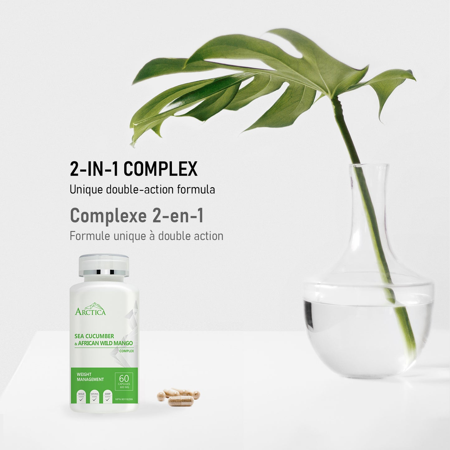 Sea Cucumber & African Wild Mango Complex Capsule, Weight Management, 600 mg × 60 caps