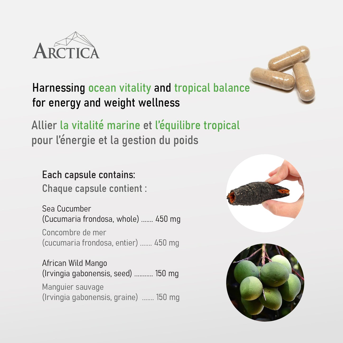 Sea Cucumber & African Wild Mango Complex Capsule, Weight Management, 600 mg × 60 caps