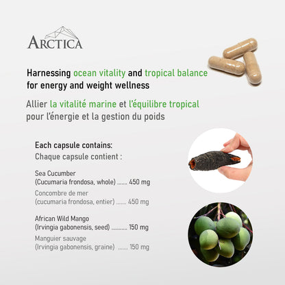 Sea Cucumber & African Wild Mango Complex Capsule, Weight Management, 600 mg × 60 caps