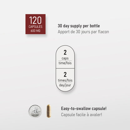 Sea Cucumber & Reishi Complex Capsule, Liver Vigor,