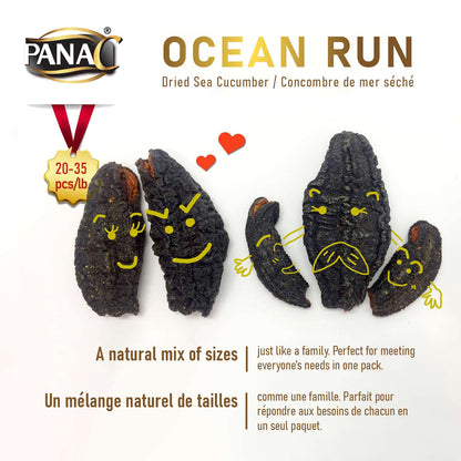 Canadian Wild Dried Sea Cucumber, PanaC Gray