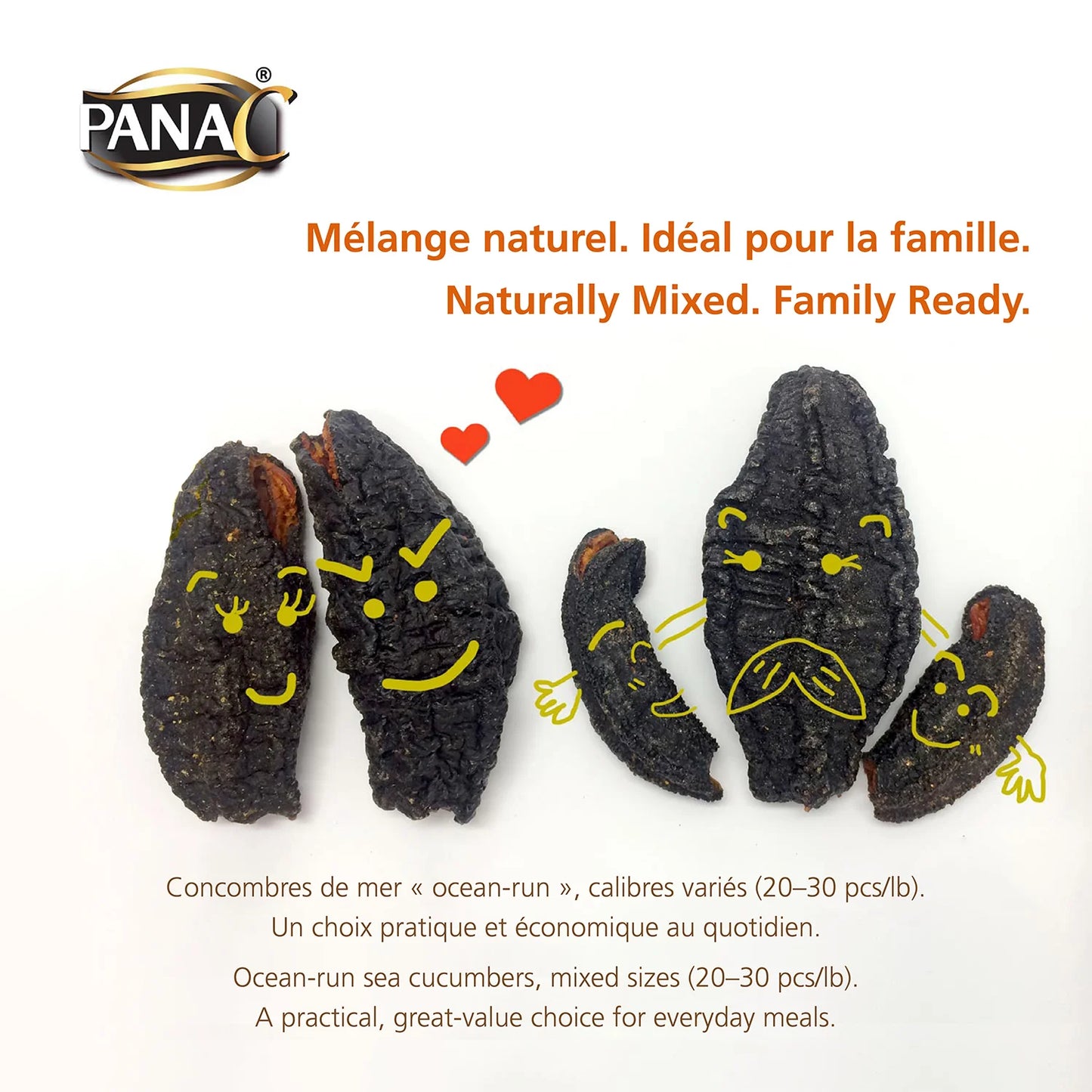 Canadian Wild Dried Sea Cucumber, PanaC Gray, 454 g