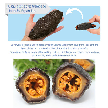 Canadian Wild Dried Sea Cucumber, PanaC Gray